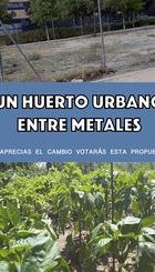 Propuesta UN HUERTO URBANO ENTRE METALES