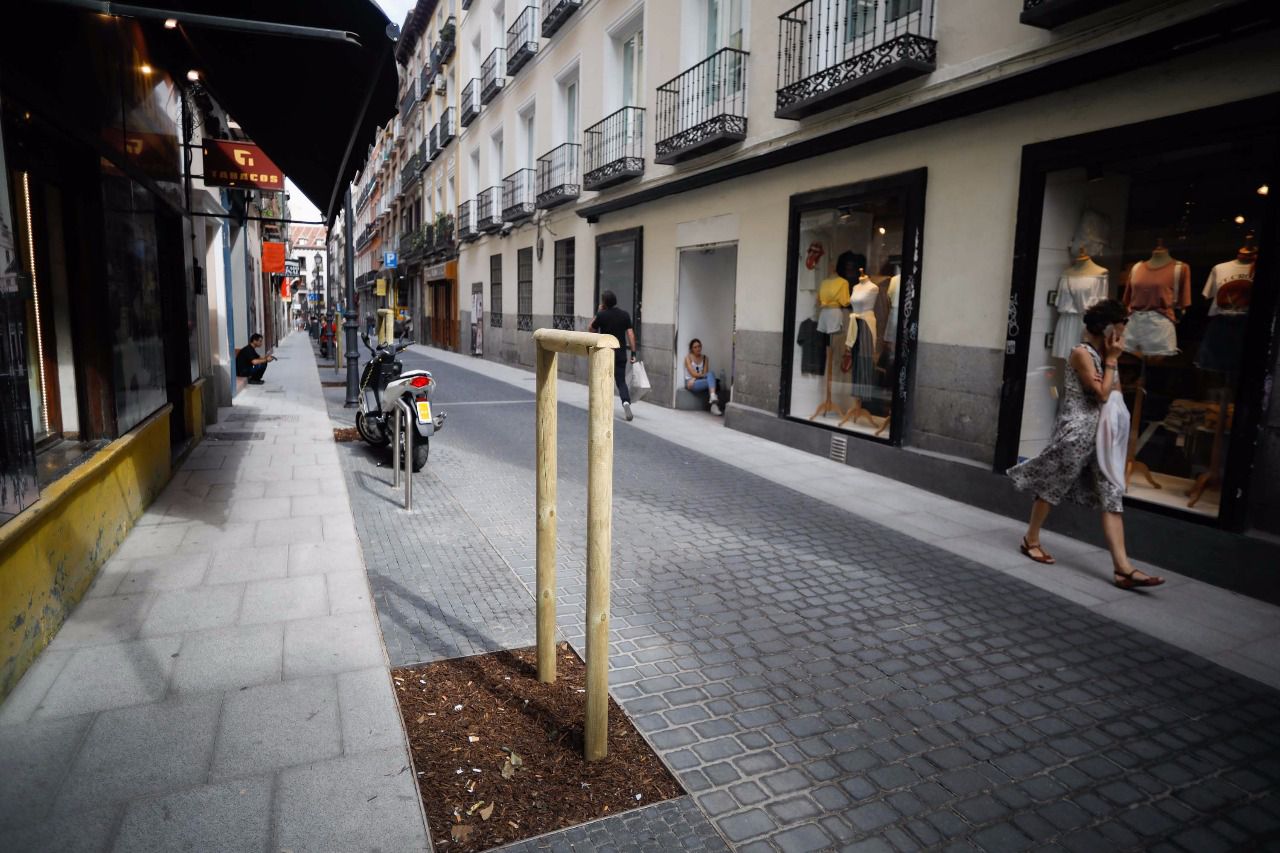 Aspecto parecido da la reforma propuesta