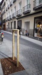 Aspecto parecido da la reforma propuesta