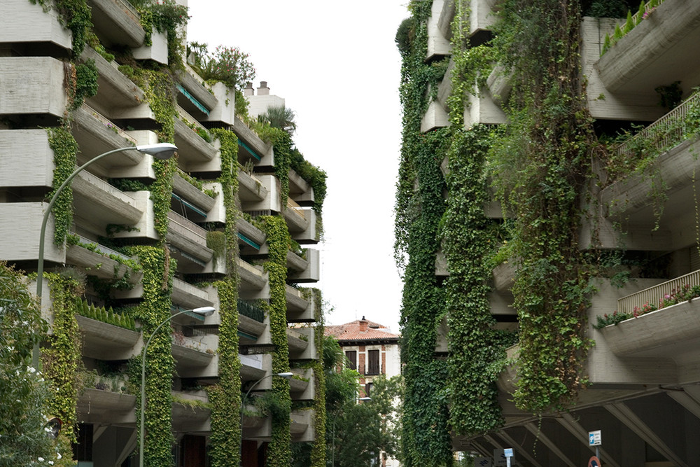 Edificio Hormigón Vegetal 