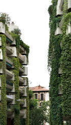 Edificio Hormigón Vegetal