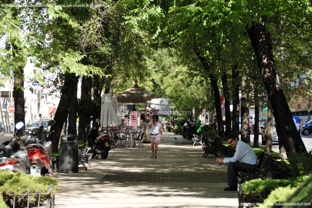 Bulevar de la calle Juan Bravo