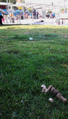 zurulloDiConiaEnParque.jpg