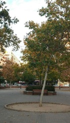 Plaza del Doctor Barraquer