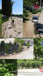 ZZVV_2019_P.jpg