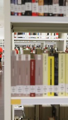 Biblioteca en Arroyofresno