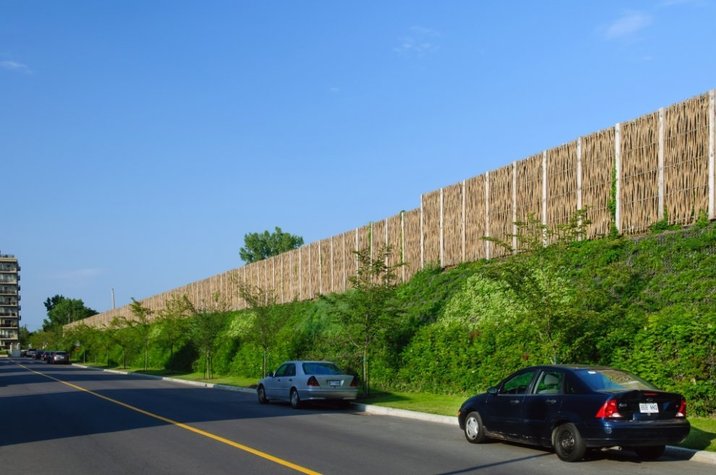 Instalación de una Barrera Acústica Vegetal en el Parque de las Avenidas