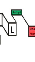 PIBA_ORCASITAS_5.jpg