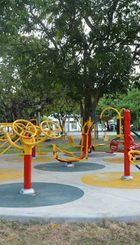 Aparatos de gimnasia para mayores
