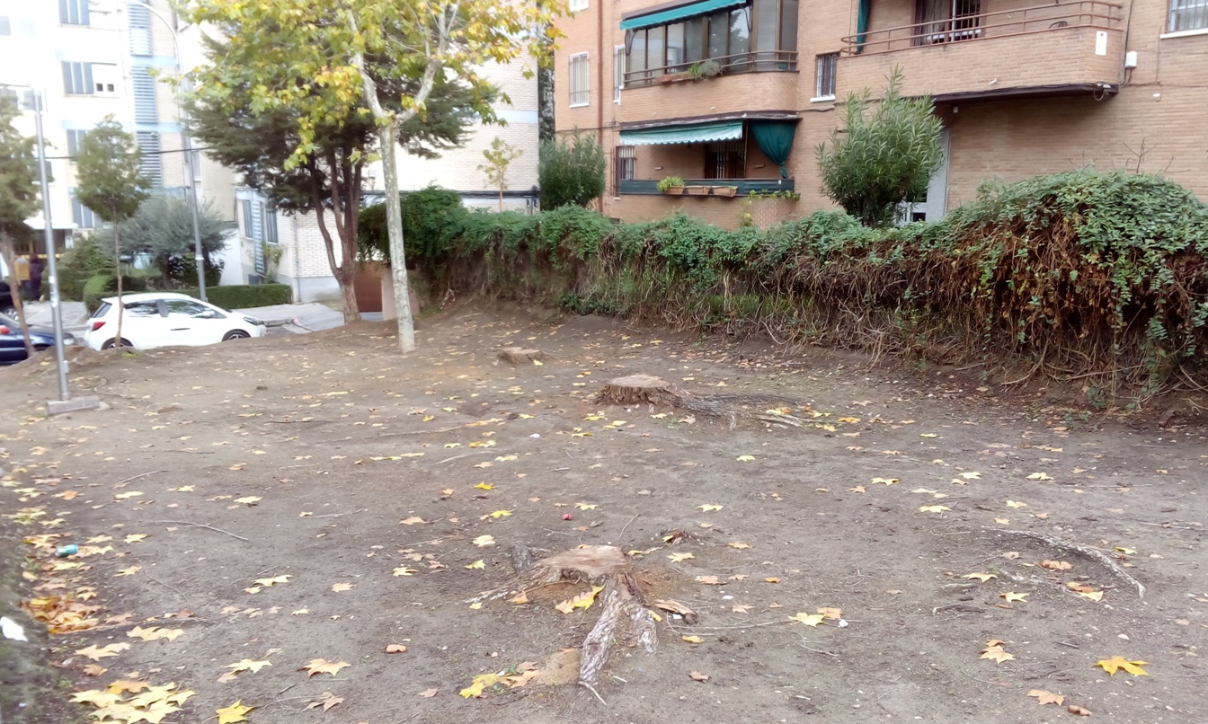 Parcela para el Parque Infantil