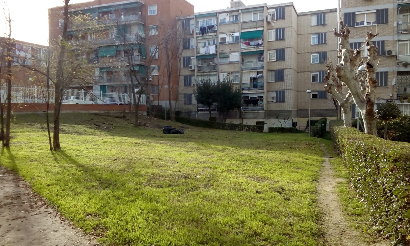 Posible parcela de huerto urbano