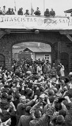 Españoles en Mauthausen