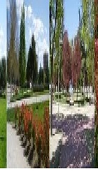 Parque_Meseta_Orcasitas_1.jpg