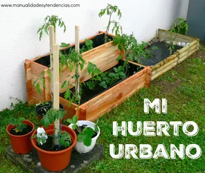 HuertoUrbano.jpg HuertoUrbano.jpg