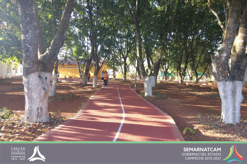 Pista Urbana de Running