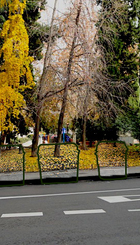 Montaje en La Plaza de las Salesas.