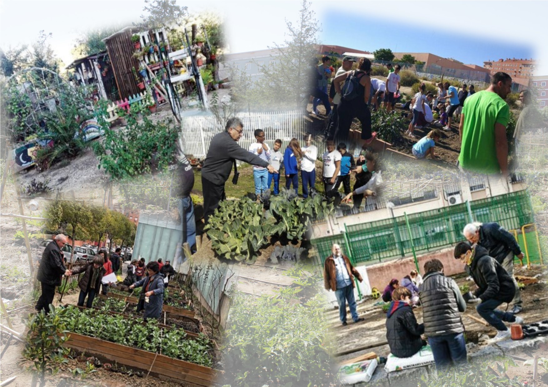 Huertos comunitarios