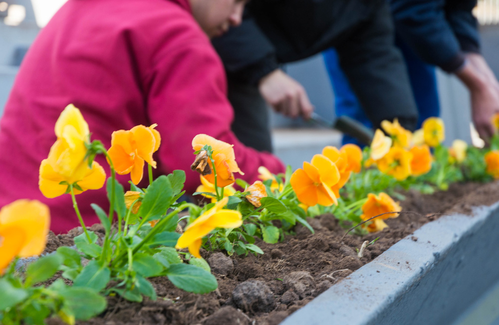 Escuela Taller de Jardinería