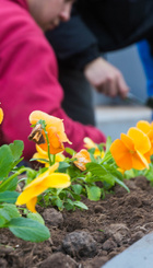 Escuela Taller de Jardinería