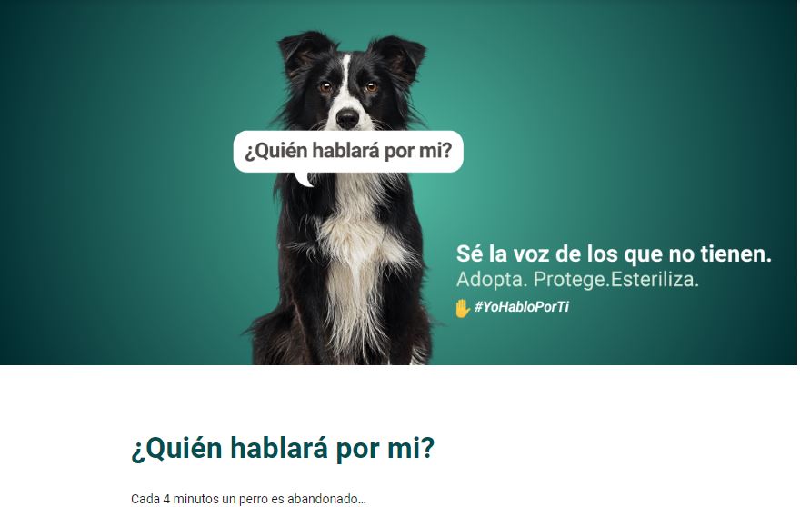 CAMPAÑA CONTRA EL ABANDONO 