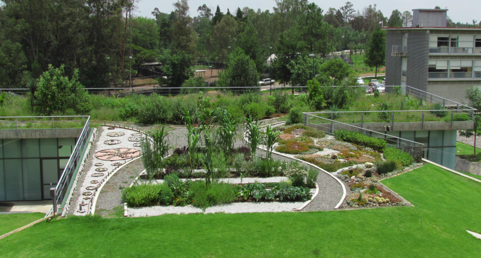 ejemplo de azotea verde