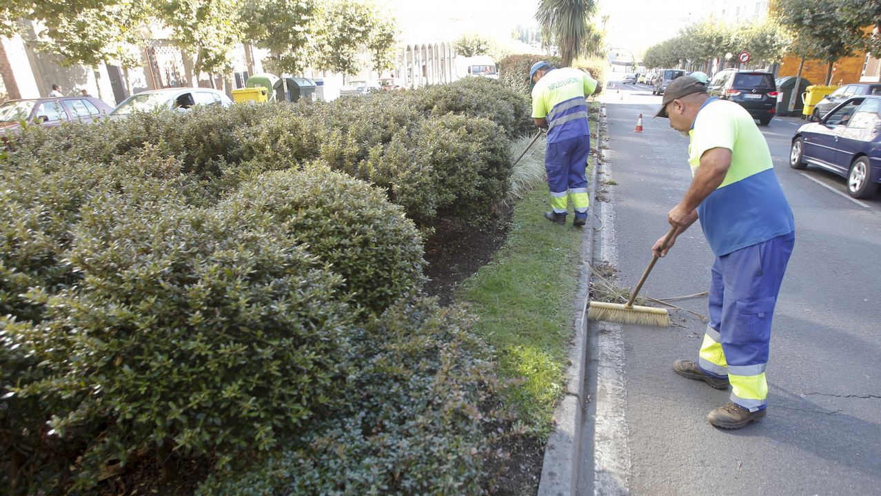 boulevares verdes (más árboles, agua, arbustos)
