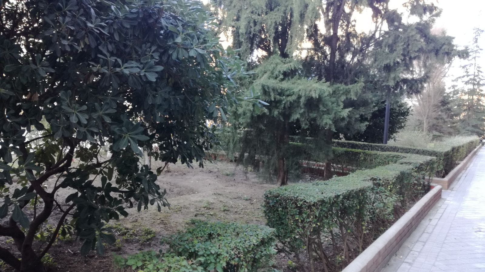 III FASE. JARDINES DE ORCASITAS, RECUPERACION.jpg