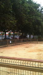Pipican