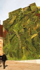 JardinesVerticales.jpg