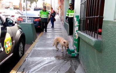 Policias-instalan-dispensadores-para-alimentar-perros.jpg