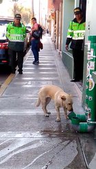 Policias-instalan-dispensadores-para-alimentar-perros.jpg