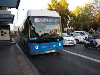 Buses de Madrid