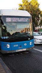 Buses de Madrid