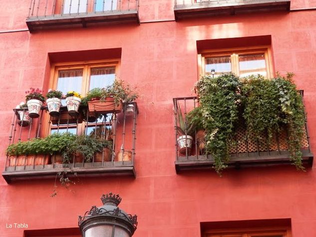 balcon_con_plantas_en_madrid.jpg