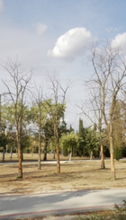 PARQUES DEL SUR ABANDONADOS