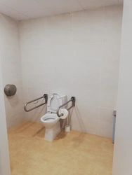 Inodoro_adaptado.jpg