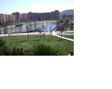 Lago parque forestal Valdebernardo