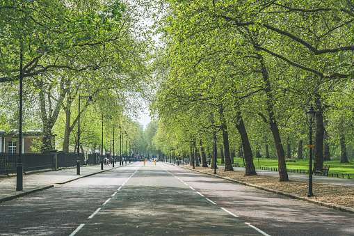 ¿Te imaginas una calle así en el barrio?