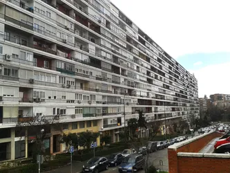 COLMENAS ESPECULATIVAS DENSAMENTE POBLADAS