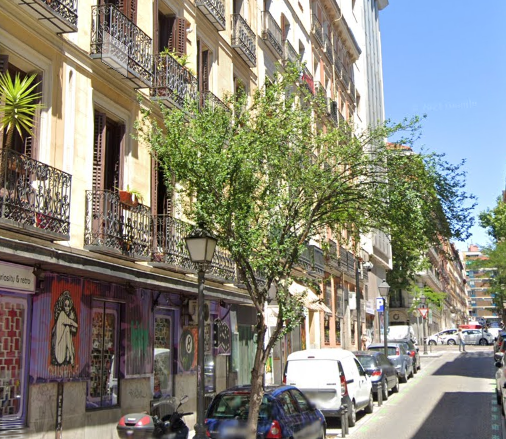 Arbolado Monteleon (distrito Centro)