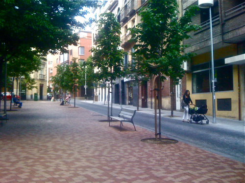 Semi-Peatonalización Alonso Heredia