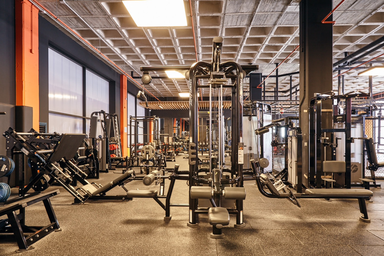 sala musculación en María de villota