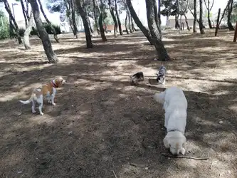 parque.jpg