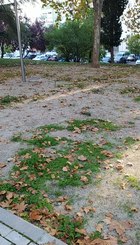 IMG_20211018_095056.jpg