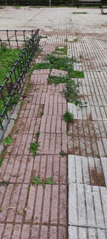 Estado del pavimento.