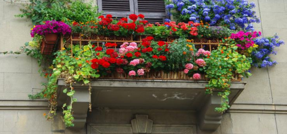 Balcon_Madrid_1.PNG