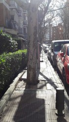 Calle Sedano