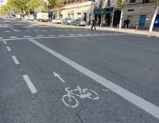 Carril_bici.JPG