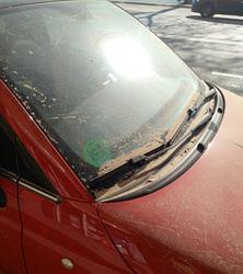 IMG_20220127_131510-01.jpg