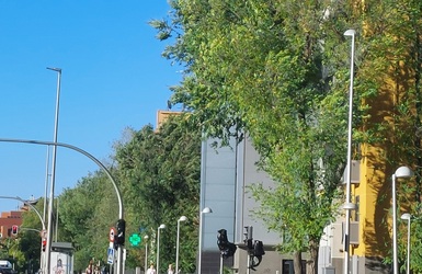 20220906_191556.jpg